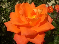37d45cbb-Picture 6543.jpg